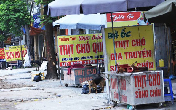 TP HCM khuyến cáo tỷ lệ cá cược kèo nhà cái dân bỏ thói quen ăn thịt chó