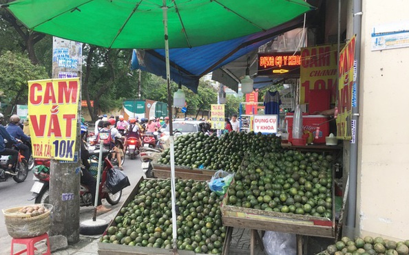 Trái cây đang có giá rẻ không tưởng, chất đầy các hè đường