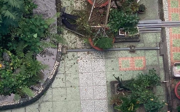 Cựu sinh viên rơi lầu tử vong tại Trường ĐH Ngoại ngữ - tỷ lệ cá cược kèo nhà cái học TP HCM