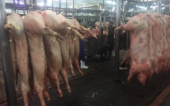 Giá tỷ lệ kèo nhà cái hôm nay hơi tiếp tục tăng mạnh lên 90.000 đồng/kg