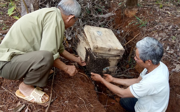 Săn lộc rừng