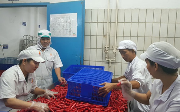 Những điển hình vượt khó, sáng tạo