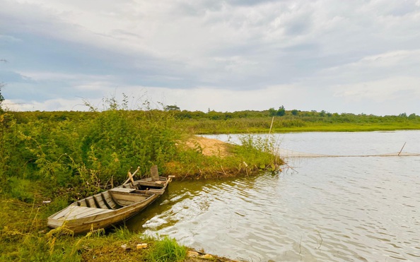 Cảnh tỷ lệ bóng đá kèo nhà cái tình trạng phân lô đất rừng, đất nông nghiệp làm du lịch dạng farmstay
