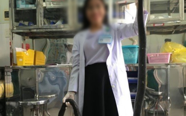 Nọc độc tỷ lệ kèo nhà cái hổ mang chúa 4,6kg ở núi Bà Đen và cuộc "lội ngược dòng" của nạn nhân