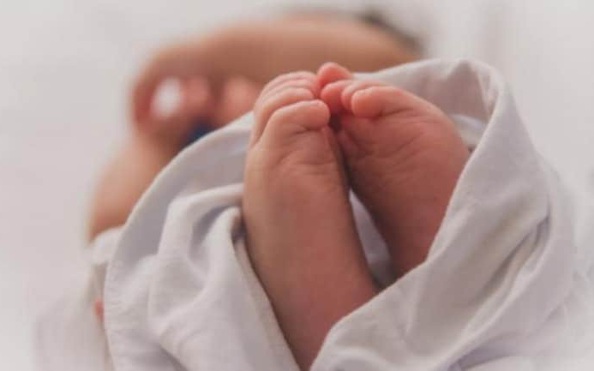 Cặp song sinh bất ngờ sùi bọt mép, tỷ lệ kèo nhà cái 88 mẹ chết lặng khi biết hung thủ