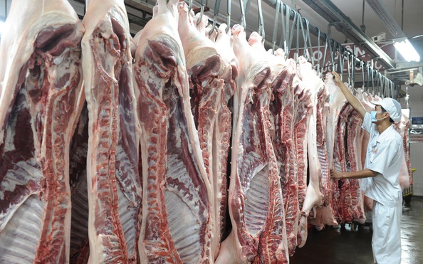 Giá tỷ lệ bóng đá kèo nhà cái tăng thêm 2.000 đồng/kg chỉ trong 5 ngày
