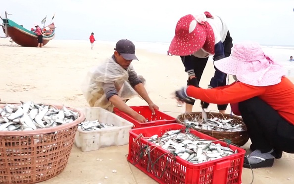 CHÙM ẢNH: Chuyến "xông biển" đầu năm bóng đá tỷ lệ kèo nhà cái ngư dân Quảng Bình