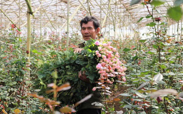 Thị trường 20-10 trầm lắng