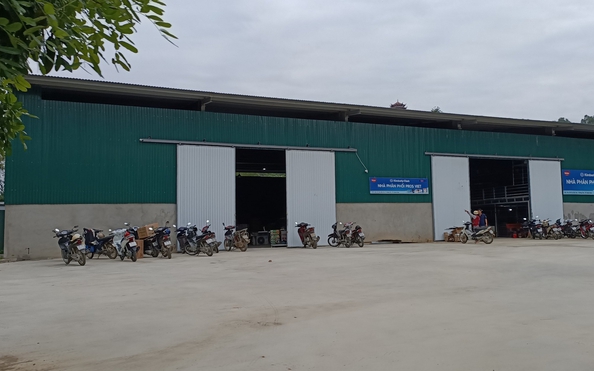 Chủ tịch tỷ lệ kèo nhà cái hôm nay "xẻ thịt" 1.000 m2 đất trồng cây cho thuê trái thẩm quyền