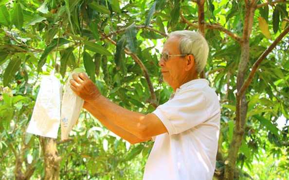 Gỡ thế khó cho xoài tỷ lệ bóng đá kèo nhà cái