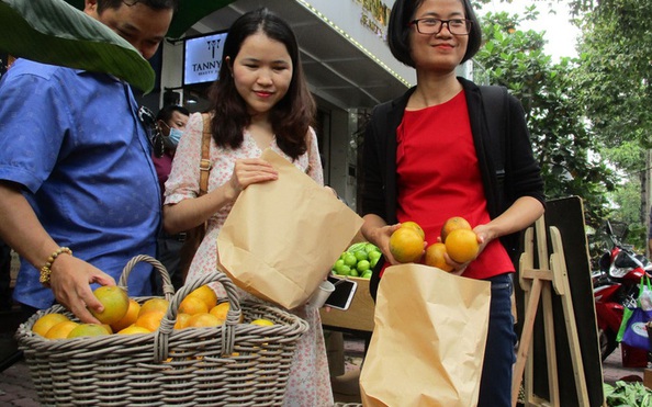 Quay lại sân nhà