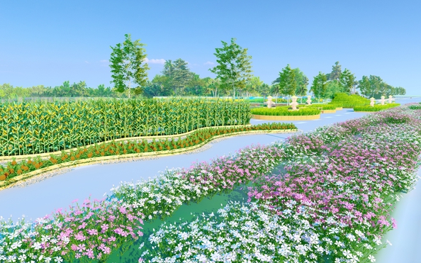 Lễ hội đường hoa xuân Hà Nội – Hành trình tỷ lệ kèo nhà cái 88ng son Tết Việt