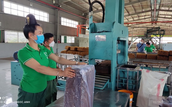 Tập đoàn Công nghiệp cao su tỷ lệ cá cược kèo nhà cái Nam hướng đến lợi nhuận 6.870 tỉ đồng/năm