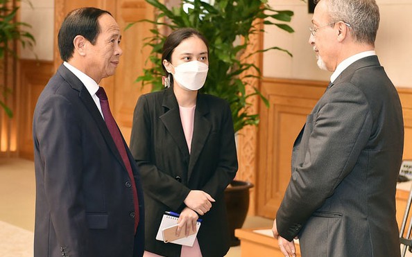 Cam kết mạnh mẽ khắc phục thẻ vàng tỷ lệ kèo nhà cái hôm nay