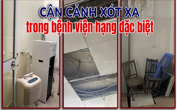 Cận cảnh xót xa trong kèo nhà cái tỷ lệ cá cược viện hạng đặc biệt của Việt Nam