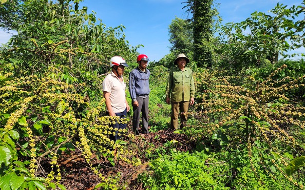 Hàng chục hộ dân trbóng đá tỷ lệ kèo nhà cáih chấp bồi thường với công ty cà phê tại dự án đường ngàn tỉ