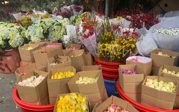 tỷ lệ kèo nhà cái malaysia hồng tăng giá 4-5 lần dịp Valentine