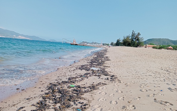 tỷ lệ bóng đá kèo nhà cái thô bất ngờ tràn ngập bờ biển Nha Trang