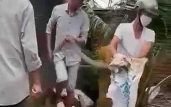 Bị răng rắn hổ mang chúa găm vào tay, 1 tỷ lệ cá cược kèo nhà cái ở Đồng Nai tử vong sau 2 ngày
