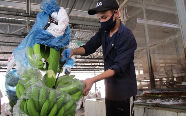 Bài học đắt cho nông sản tỷ lệ bóng đá kèo nhà cái