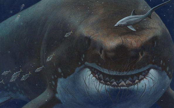 Tin tức, hình ảnh, video clip mới nhất về Cá mập megalodon