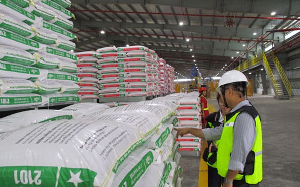 Giảm lệ thuộc vào thức ăn chăn nuôi tỷ lệ kèo nhà cái hôm nay khẩu