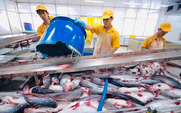 bóng đá tỷ lệ kèo nhà cái quý III của Việt Nam tăng 13,67%