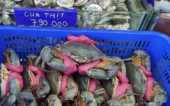 Tôm hùm, tỷ lệ kèo nhà cái malaysia Cà Mau tăng giá kinh khủng