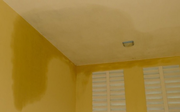 Những vị trí nào tỷ lệ kèo nhà cái malaysia nhà dễ bị thấm dột nhất