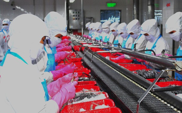 Cà Mau họp báo cung cấp thông tỷ lệ kèo nhà cái hôm nay sự kiện quan trọng của tỉnh