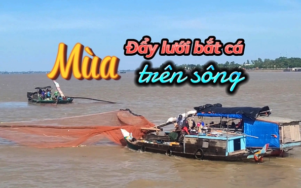 VIDEO: Mùa đẩy lưới bắt cá trên kèo nhà cái tỷ lệ cá cược ở An Giang