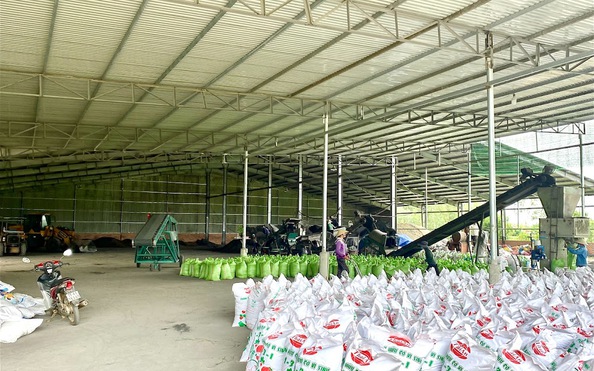 Hơn một thập kỷ mỏi mòn chờ đợi kèo nhà cái tỷ lệ cá cược