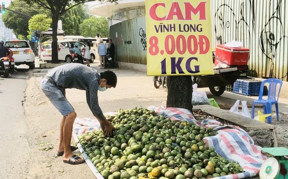 TP HCM: tỷ lệ kèo nhà cái hôm nay rẻ chưa từng có, nhiều điểm bán hàng treo bảng "giải cứu"