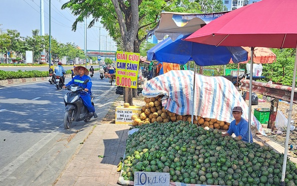 "Giải cứu" tỷ lệ kèo nhà cái hôm nay khắp các ngả đường TP HCM