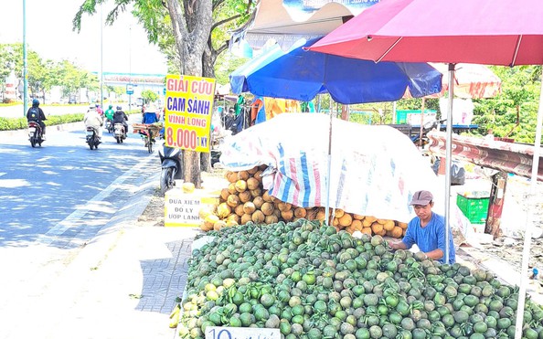 Đàm phán xuất khẩu tỷ lệ kèo nhà cái hôm nay sang Trung Quốc