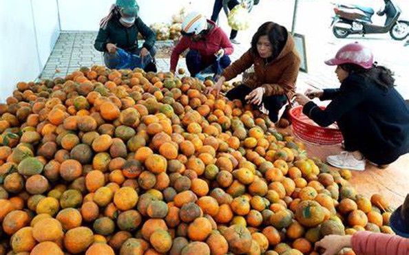Từ việc giải cứu tỷ lệ kèo nhà cái hôm nay đến quy hoạch nông sản