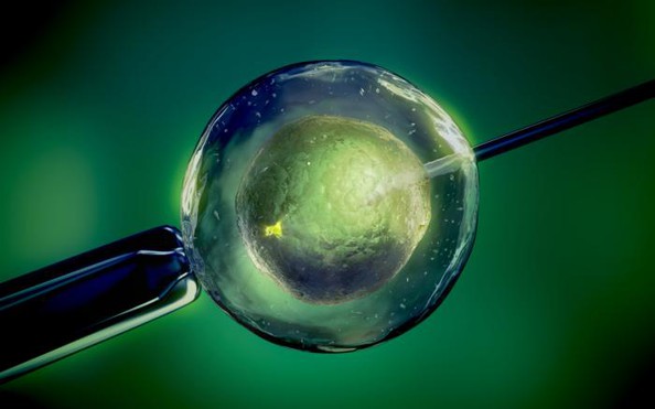 Anh: Em bé đầu tiên mang DNA của 3 tỷ lệ kèo nhà cái malaysia cha mẹ ra đời