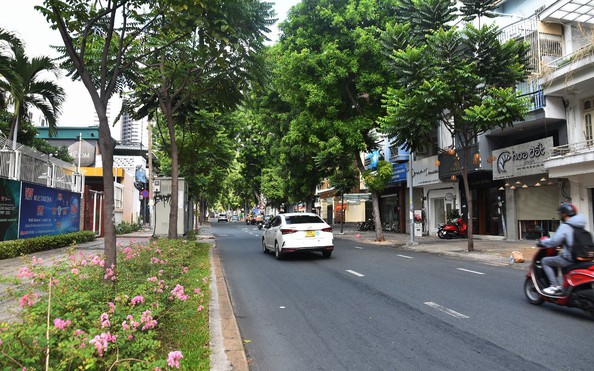 Những tỷ lệ kèo góc nhà cái làm hoa cho đất: Nguyễn Đình Chiểu - Cây bút chở Đạo và trừ gian