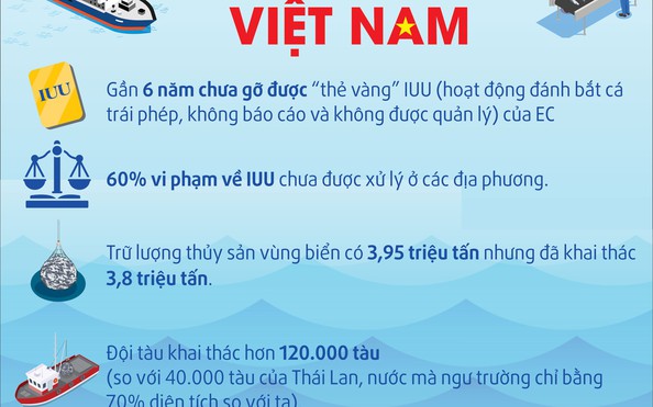 VIỆT NAM NỖ LỰC GỠ THẺ VÀNG tỷ lệ kèo nhà cái hôm nay: Không thể biện minh do nghèo