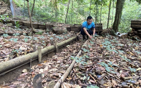 Công an Cầu Giấy đề nghị Quảng tỷ lệ bóng đá kèo nhà cái cung cấp tài liệu: 3 doanh nghiệp nói gì?