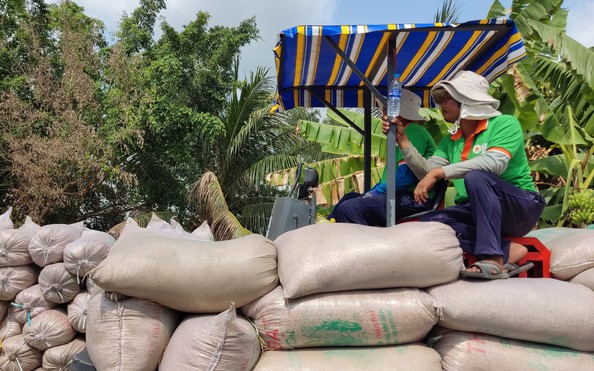 tỷ lệ kèo nhà cái 88 áp trần giá gạo, nhà nhập khẩu đòi hủy đơn hàng, gạo Việt Nam sẽ ra sao?