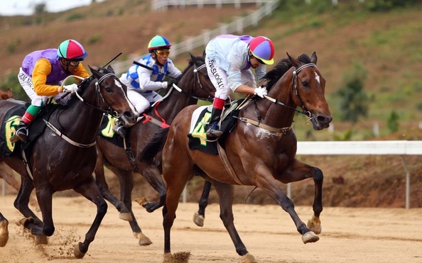 ĐUA NGỰA | Tin tuc CẬP NHẬT , dua ngua | B&aacute;o Người lao động