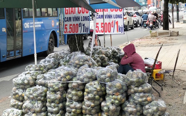 Vì sao khắp nơi ở TP HCM vẫn xuất hiện hình ảnh "giải cứu tỷ lệ kèo nhà cái hôm nay"?