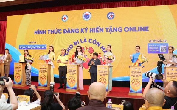 Con số ngạc nhiên từ tỷ lệ bóng đá kèo nhà cái hiến tạng chết não