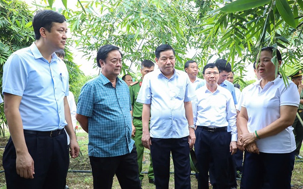 Bộ trưởng “Xích Lô” - Lê Minh Hoan đoạt giải tỷ lệ bóng đá kèo nhà cái chí toàn quốc về "tam nông"