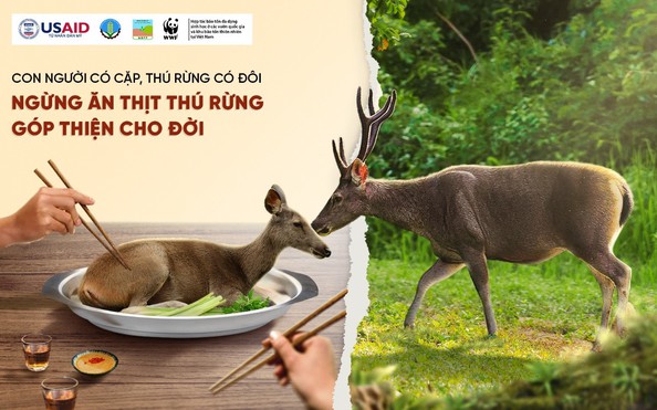 90% động vật hoang dã bị săn bắt vào nhà hàng, quán nhậu