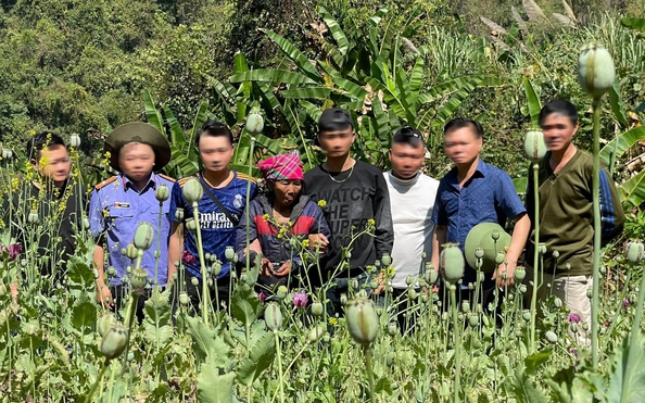 Phát hiện tỷ lệ kèo góc nhà cái phụ nữ 67 tuổi trồng hơn 3.200 cây thuốc phiện