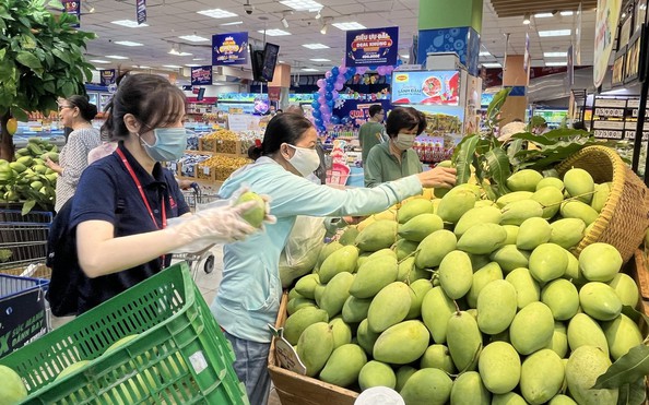 Lưu ý khi mua cát xây dựng lẻ