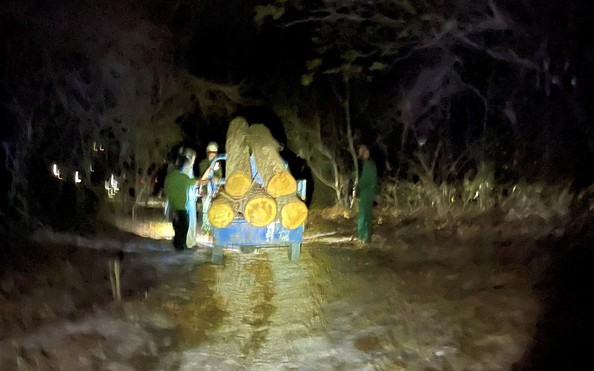Lâm tặc xẻ gỗ trong tỷ lệ kèo nhà cái hôm nay, bỏ chạy trong đêm khi bị phát hiện