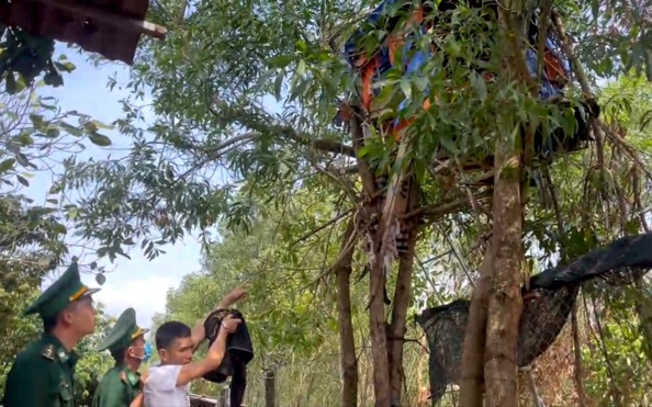 Làm lán trên cây để mua bán... ma túy